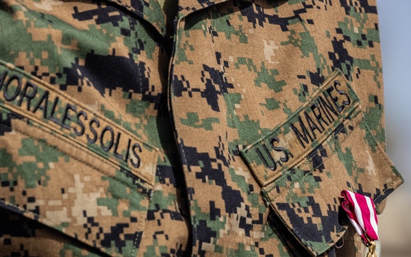 CLB-5 Relief and Appointment