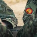 3rd SFG (A) Strengthens Ties with Tunisian Army