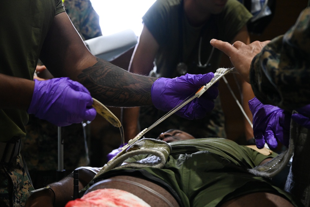 Resolute Dragon 25 | 3rd Medical Battalion, Japan Ground Self-Defense Force, Conduct Bilateral Mass Casualty Training at Camp Naha