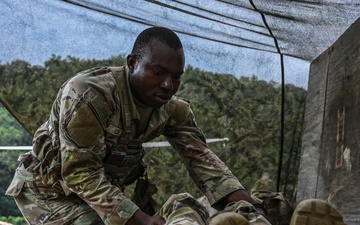 Expert Soldier Badge/Expert Infantry Badge 2025