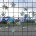 Camp Foster hosts Lanterns for Life for Suicide Prevention Month