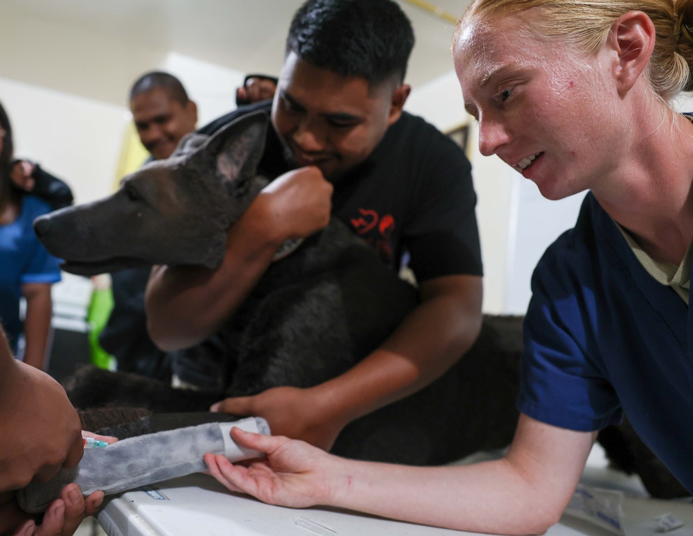 Pacific Partnership provide veterinarian training to the staff of the Koror State Animal Shelter and Clinic.