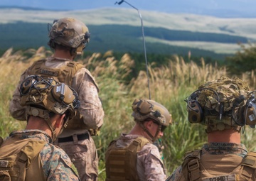 U.S. Marines Call for Fire during ARTP 25.2