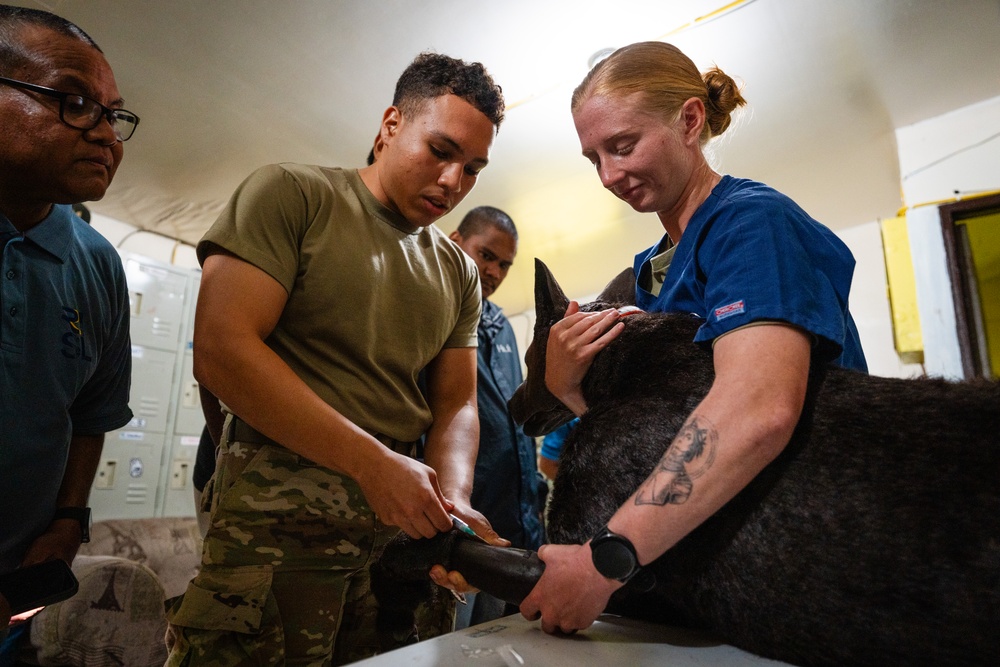 U.S. Army Soldiers with Pacific Partnership 2025 Conduct Veterinary training at the Koror Animal Shelter in Koror, Palau, Sept. 25.