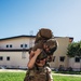 173rd Airborne Brigade’s Lifeline Company Conducts Trauma Lane Training