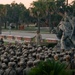 November Company EGA Ceremony