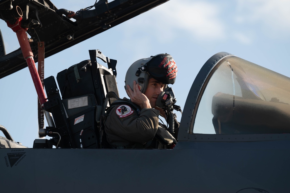 Panthers strike during Cobra Warrior 25-2