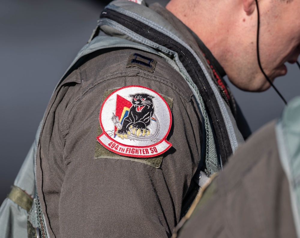 Panthers strike during Cobra Warrior 25-2