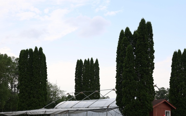 Ottawa National Forest - J.W. Toumey Nursery