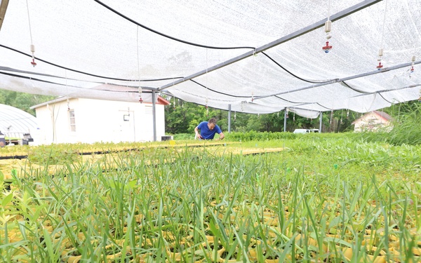 Ottawa National Forest - JW Toumey Nursery