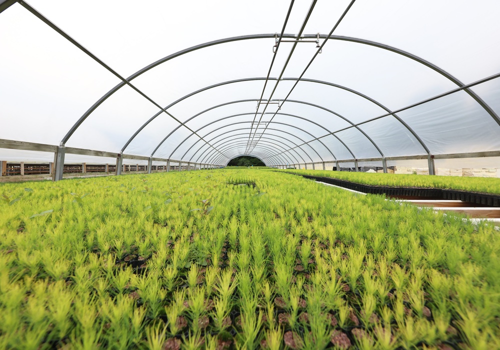 Ottawa National Forest - J.W. Toumey Nursery