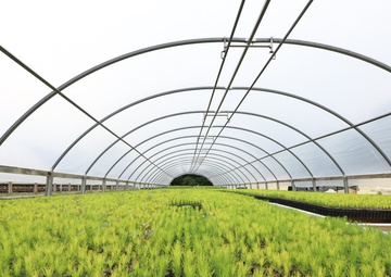 Ottawa National Forest - J.W. Toumey Nursery