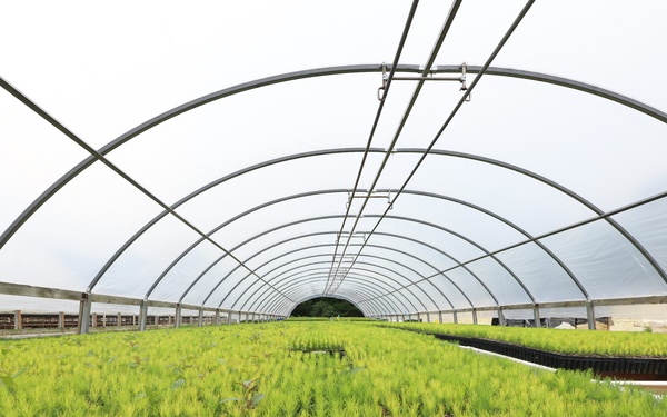 Ottawa National Forest - J.W. Toumey Nursery