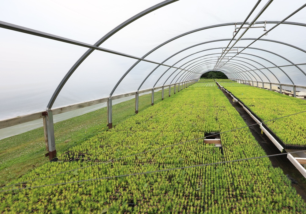 Ottawa National Forest - J.W. Toumey Nursery