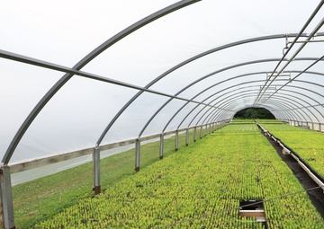 Ottawa National Forest - J.W. Toumey Nursery