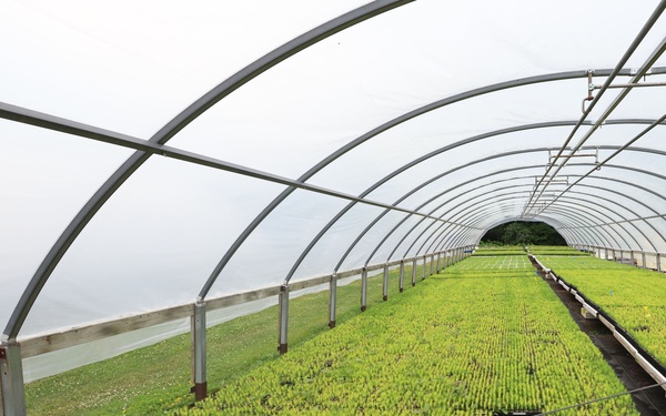 Ottawa National Forest - J.W. Toumey Nursery