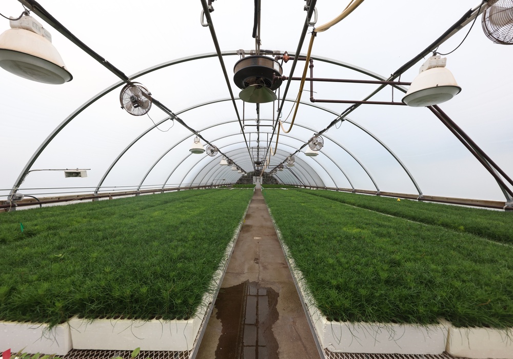 Ottawa National Forest - J.W. Toumey Nursery
