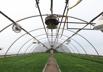 Ottawa National Forest - J.W. Toumey Nursery