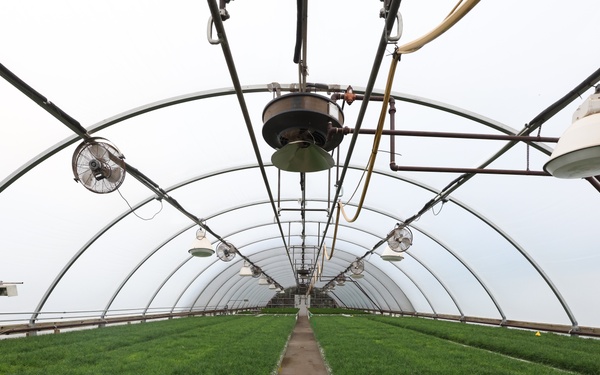 Ottawa National Forest - J.W. Toumey Nursery