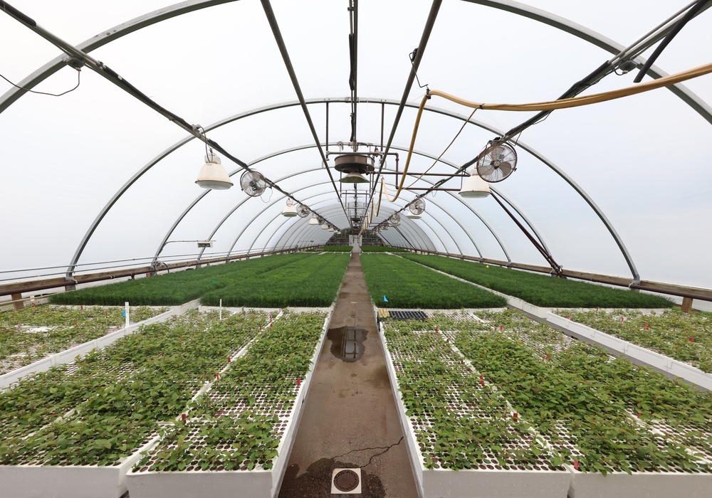 Ottawa National Forest - J.W. Toumey Nursery