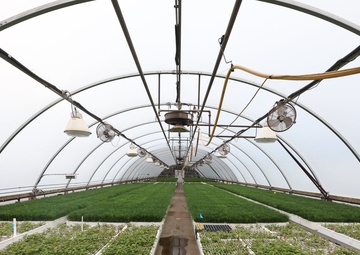 Ottawa National Forest - J.W. Toumey Nursery