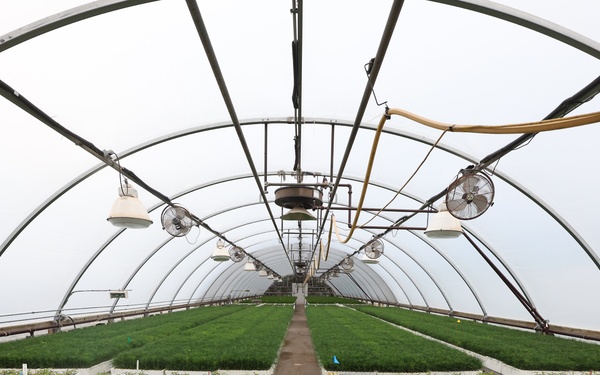 Ottawa National Forest - J.W. Toumey Nursery