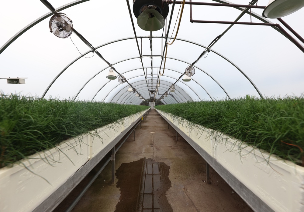 Ottawa National Forest - J.W. Toumey Nursery