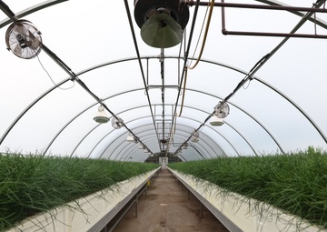 Ottawa National Forest - J.W. Toumey Nursery