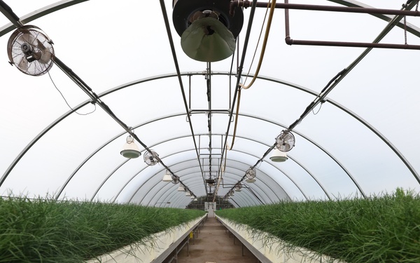 Ottawa National Forest - J.W. Toumey Nursery