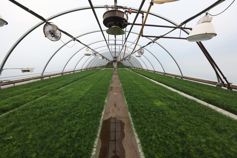 Ottawa National Forest - J.W. Toumey Nursery