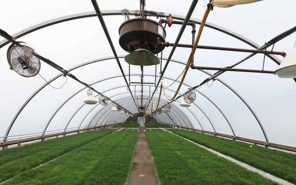 Ottawa National Forest - J.W. Toumey Nursery