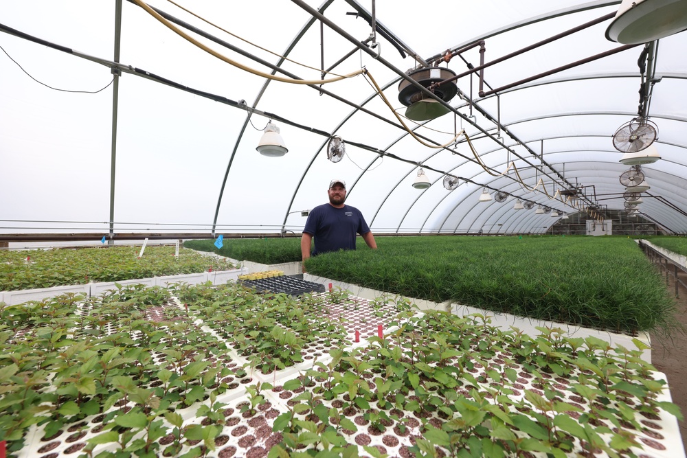 Ottawa National Forest - JW Toumey Nursery