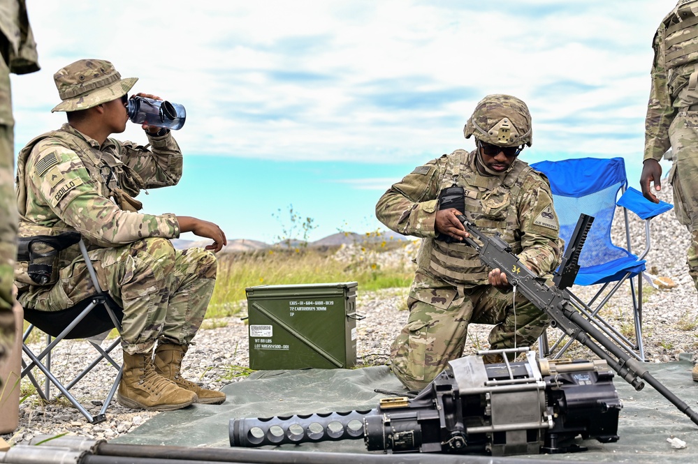 4-60th ADA SGT STOUT LFX