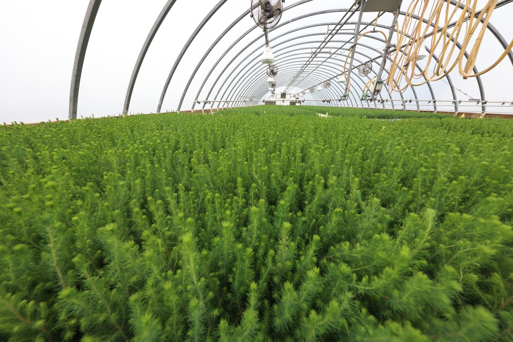 Ottawa National Forest - J.W. Toumey Nursery