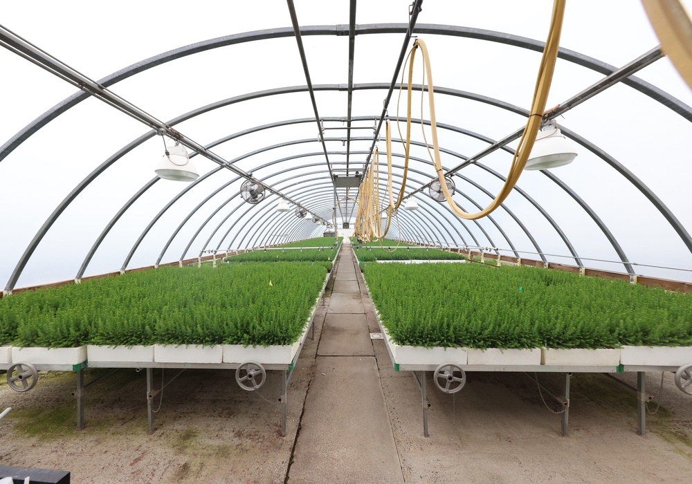 Ottawa National Forest - J.W. Toumey Nursery