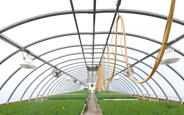 Ottawa National Forest - J.W. Toumey Nursery