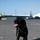 Boomer the Transportation Security Administration K9