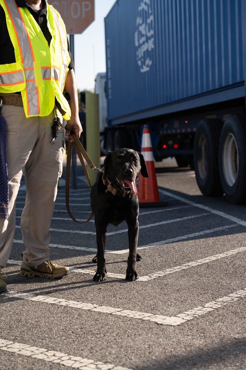 Boomer the Transportation Security Administration K9