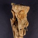 Right Tibia and Fibula of Union Army Pvt. Henry Haycook