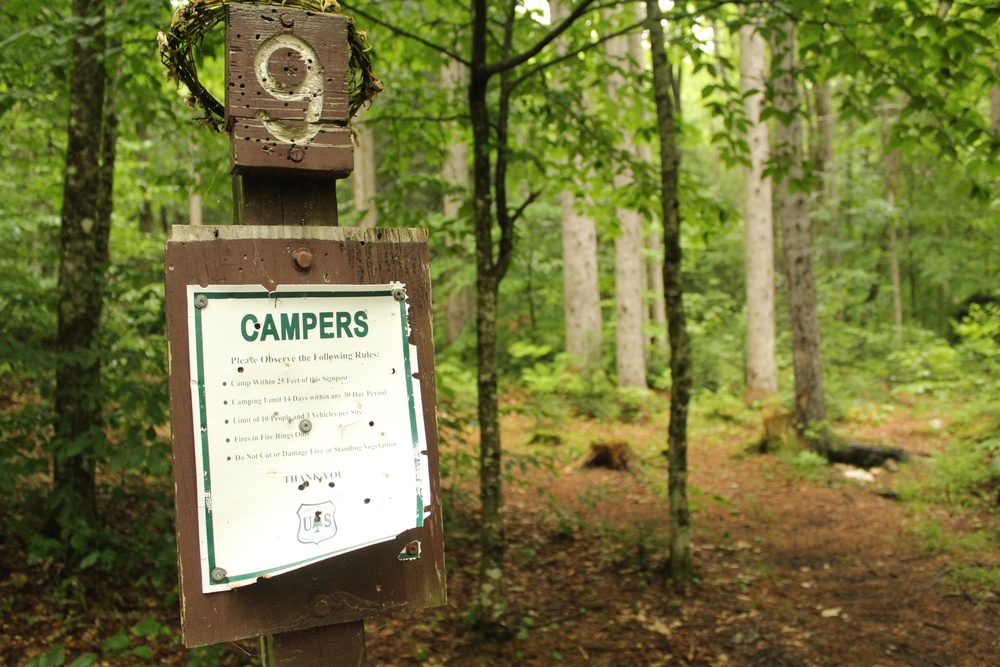 Bingo Brook Campground