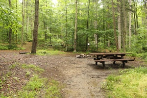 Iwakuni Elementary school hosts Science Night for students, family (Radio)