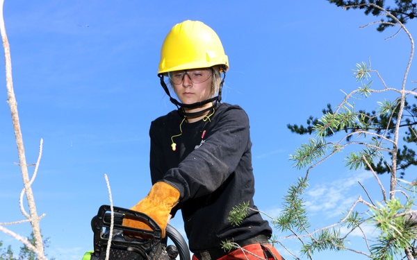 Hiawatha National Forest