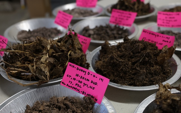 Hiawatha National Forest - GeoCorps