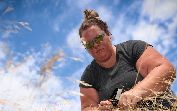 Hiawatha National Forest - Greening Youth Foundation