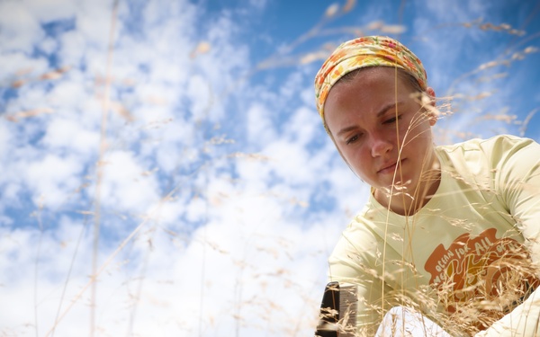 Hiawatha National Forest - Greening Youth Foundation