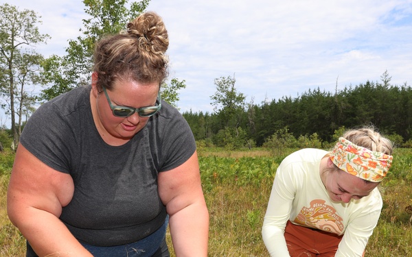Hiawatha National Forest - Greening Youth Foundation