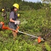 Hiawatha National Forest - YouthWork Conservation Corps