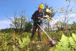 Inside Iwakuni Radio News: Japanese Calligraphy Class