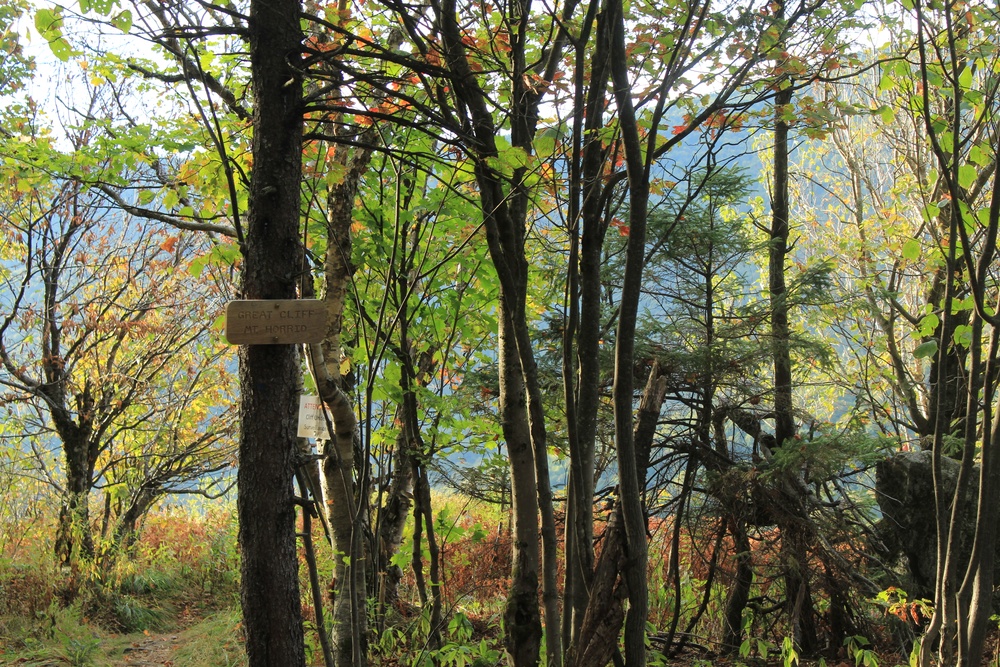 Climbing to Great Cliff