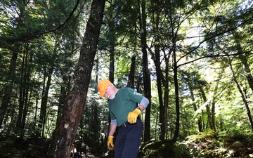 White Mountain National Forest - Trail Volunteer
